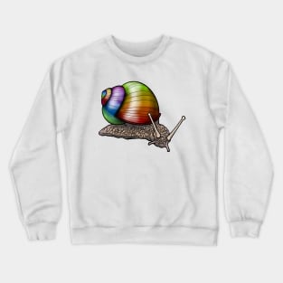 Shell of a Different Color Crewneck Sweatshirt